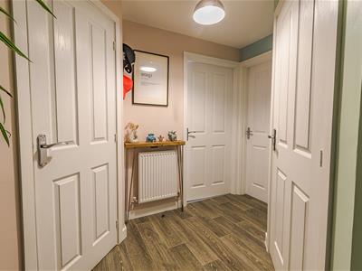 Picture 8